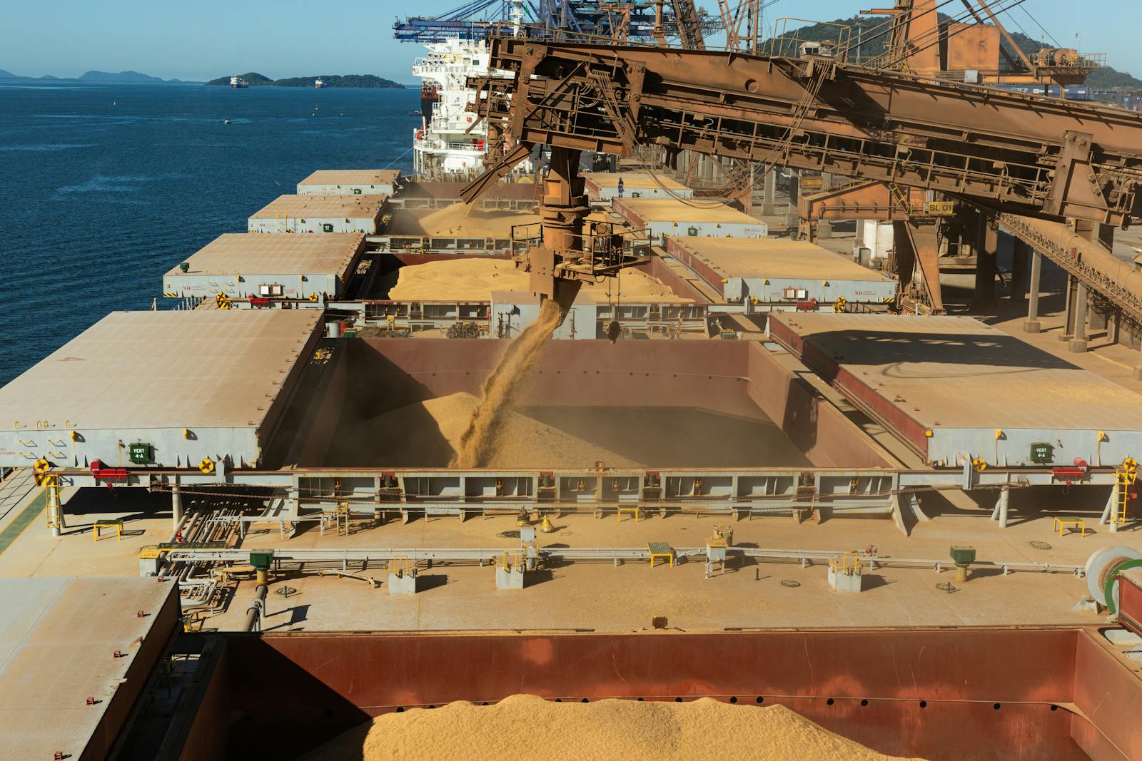 Grain loading onto a bulk carrier